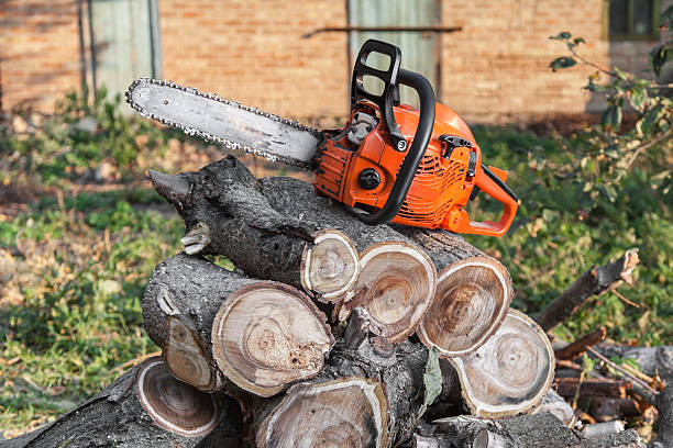 Emergency Storm Tree Removal in Montgomery, AL